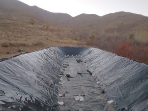 ورق ژئوممبران فن‌آوران سبز