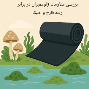 ژئوممبران ضد جلبک